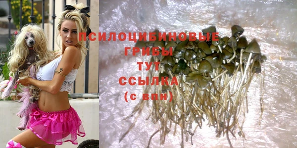 прущая мука Нея