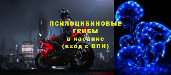 прущая мука Нея