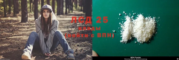 стафф Абаза