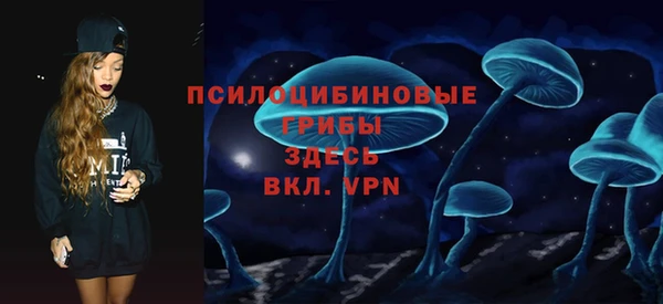 прущая мука Нея