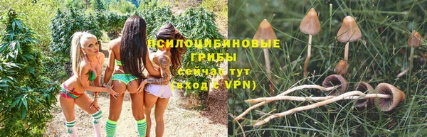 прущая мука Нея