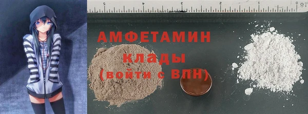 индика Нефтегорск