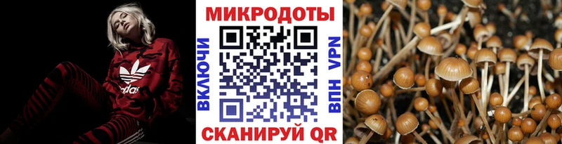 Галлюциногенные грибы мицелий  МЕГА   Воронеж  закладка 