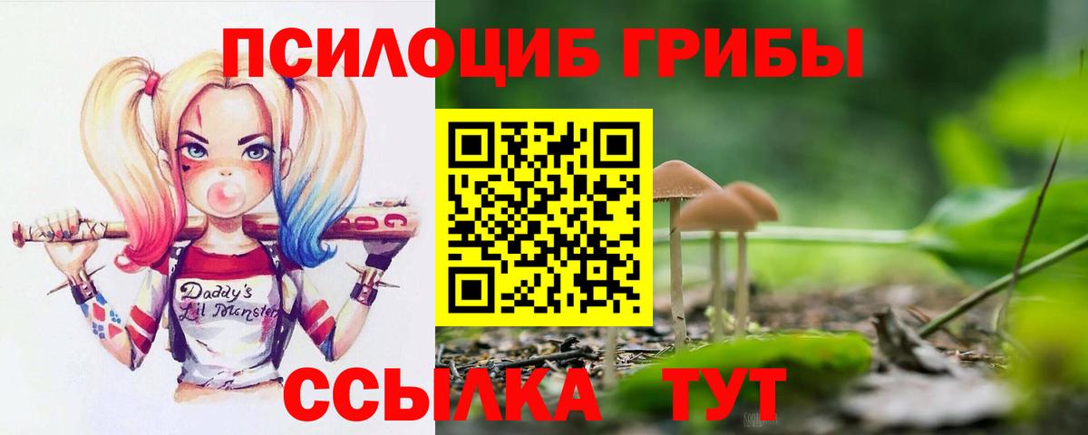 Псилоцибиновые грибы прущие грибы  Вход с VPN  Псилоцибиновые грибы Psilocybe  Воронеж 