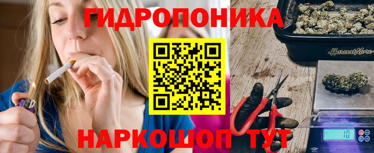 Бошки марихуана план  Конопля THC 21%  Вход с VPN  Воронеж 
